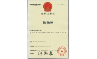 湖南商標(biāo)注冊成功案例