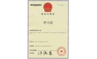 長(zhǎng)沙商標(biāo)注冊(cè)成功案例