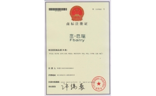 湖南商標(biāo)注冊成功案例