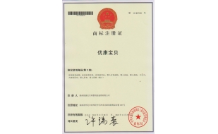 益陽商標(biāo)注冊成功案例